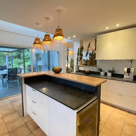 Villa Superb Contemporary With Pool And Garden Roquefort-les-Pins