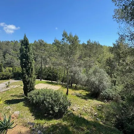 Superb Contemporary With Pool And Garden Roquefort-les-Pins